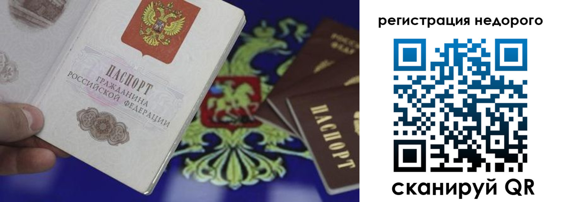 прописка гарантия в Чебоксарах